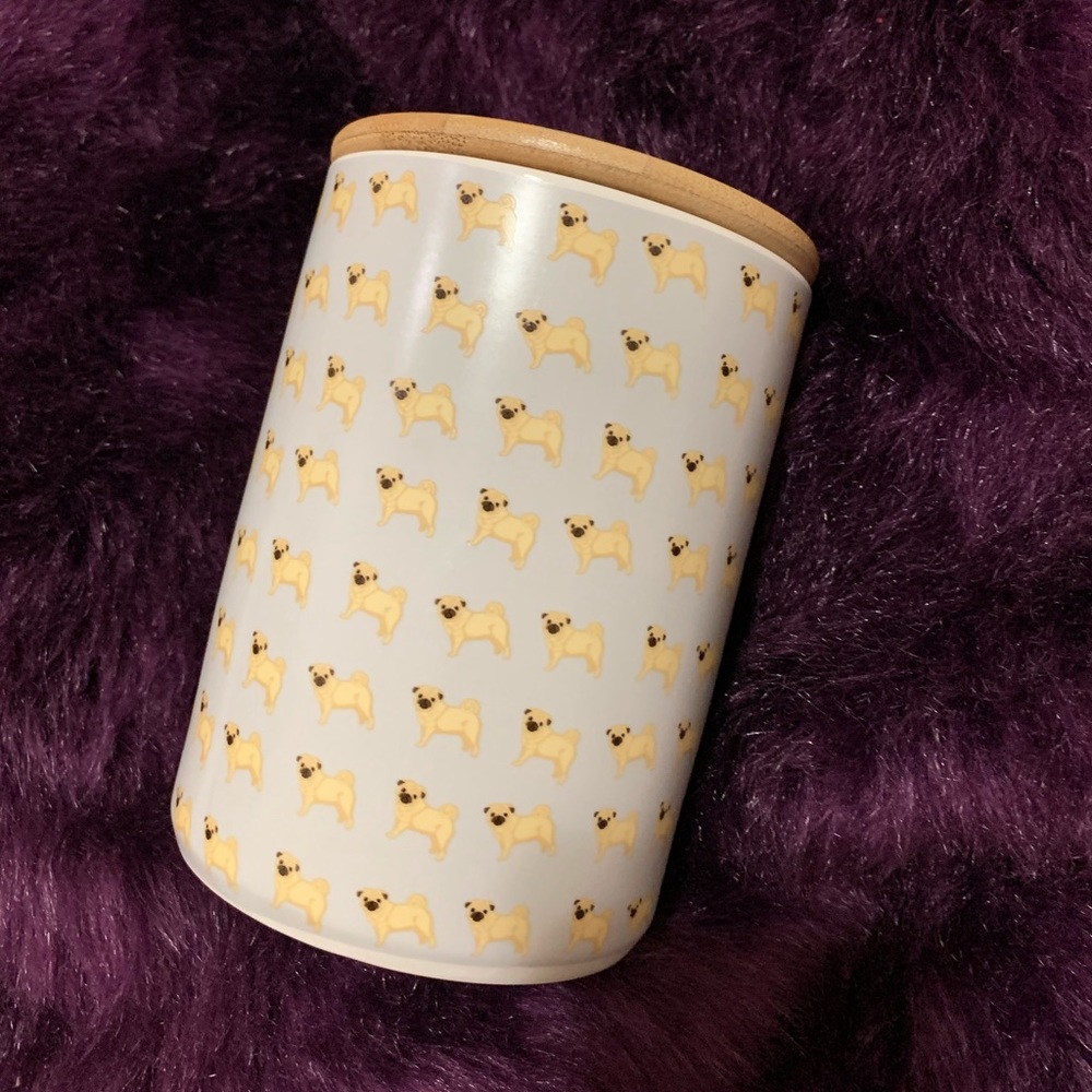 🌺HP9/27🌸Pug Canister🐶